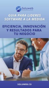Guía para empresarios software a la medida